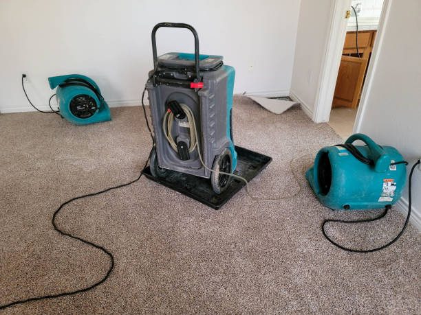 Best Flood restoration services  in Aledo, TX