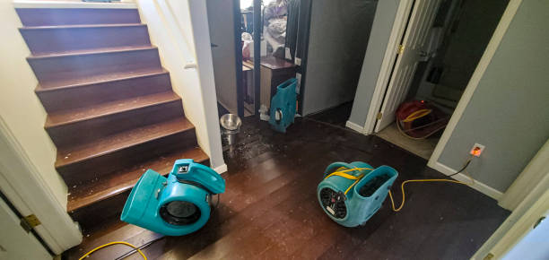 Best Residential water damage restoration  in Aledo, TX