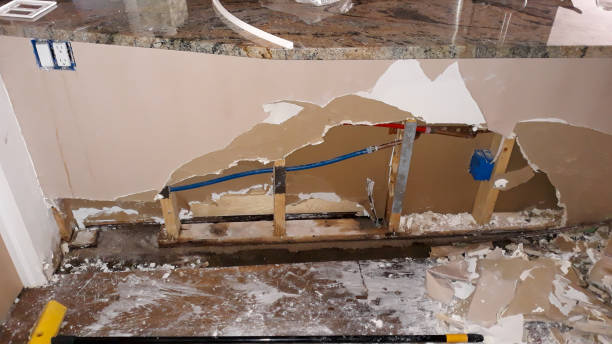 Best Water damage restoration mold remediation  in Aledo, TX