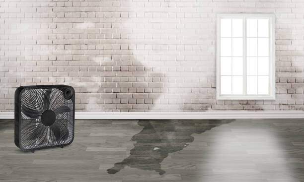 Best 24/7 water damage repair  in Aledo, TX
