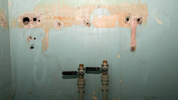 Best Water damage cleanup near me  in Aledo, TX