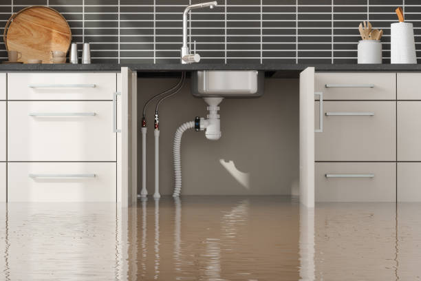 Best Water damage contractors near me  in Aledo, TX